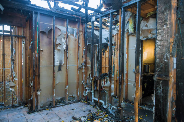 Professional Soot Cleanup technician working in Clifton Heights, PA